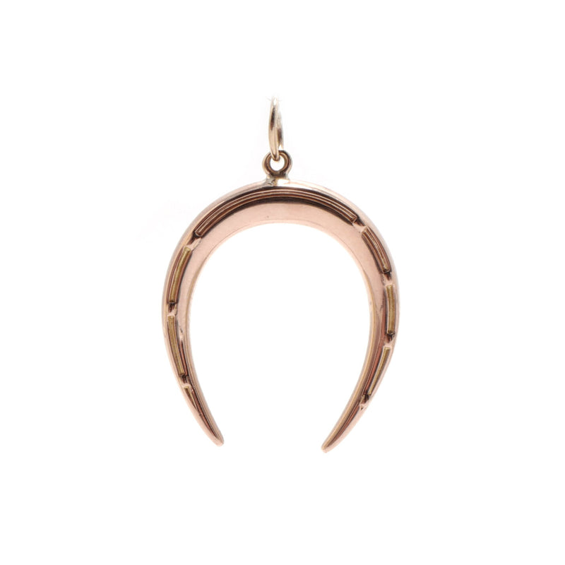 Horseshoe Charm